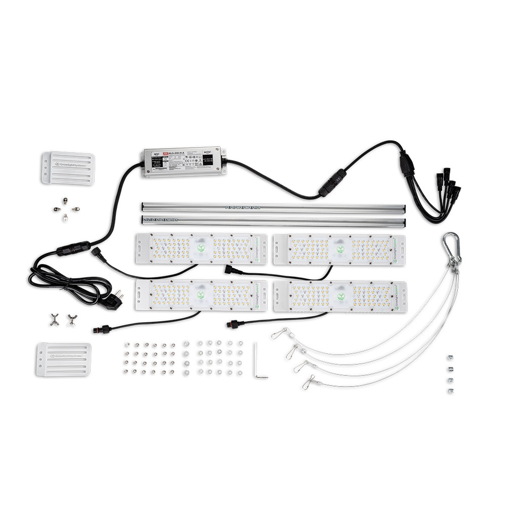 TentyProX4 200W Details 5